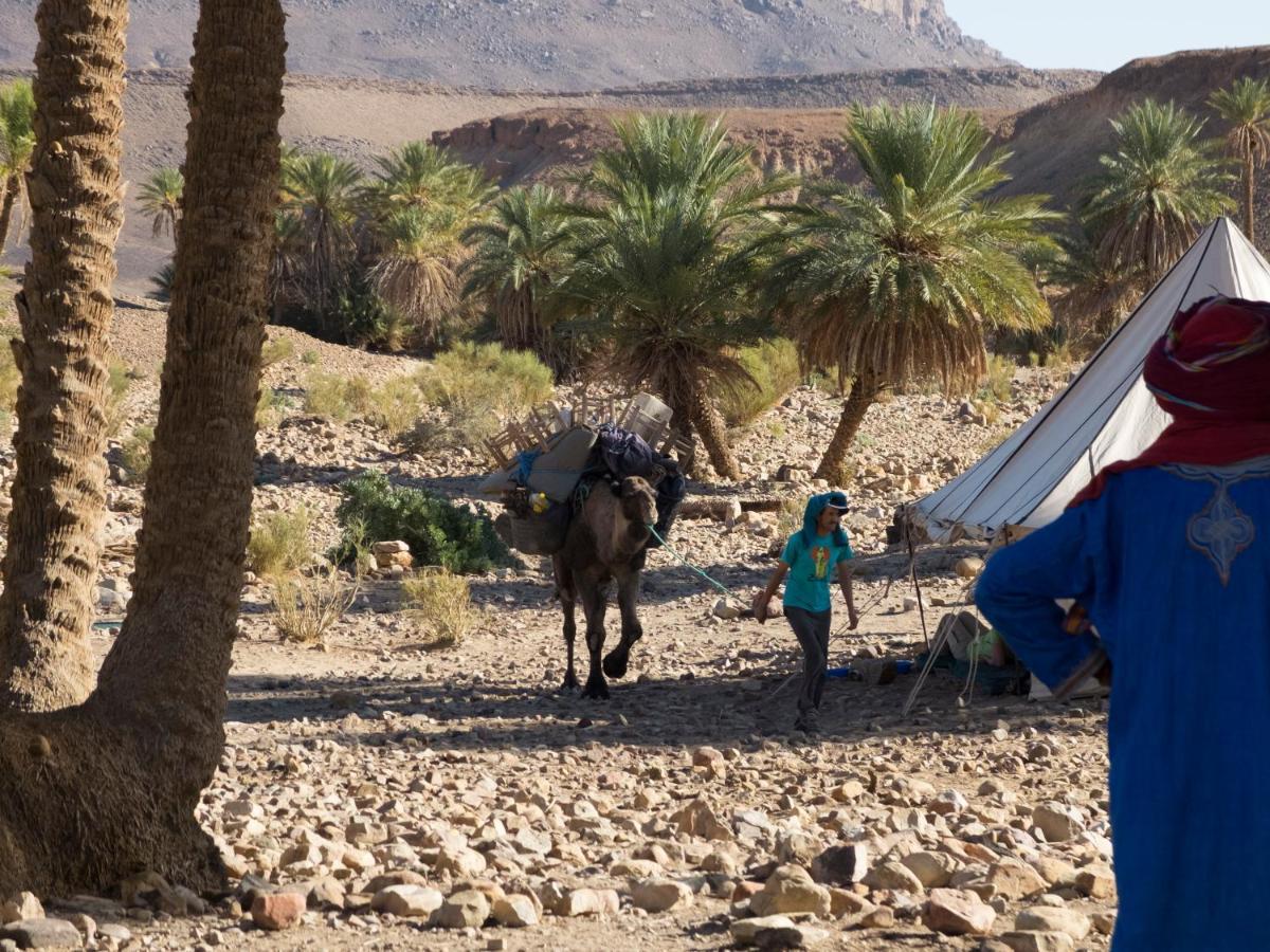Bivouac Les Nomades & Foum Zguid To Chegaga Tours Hotel Exterior foto