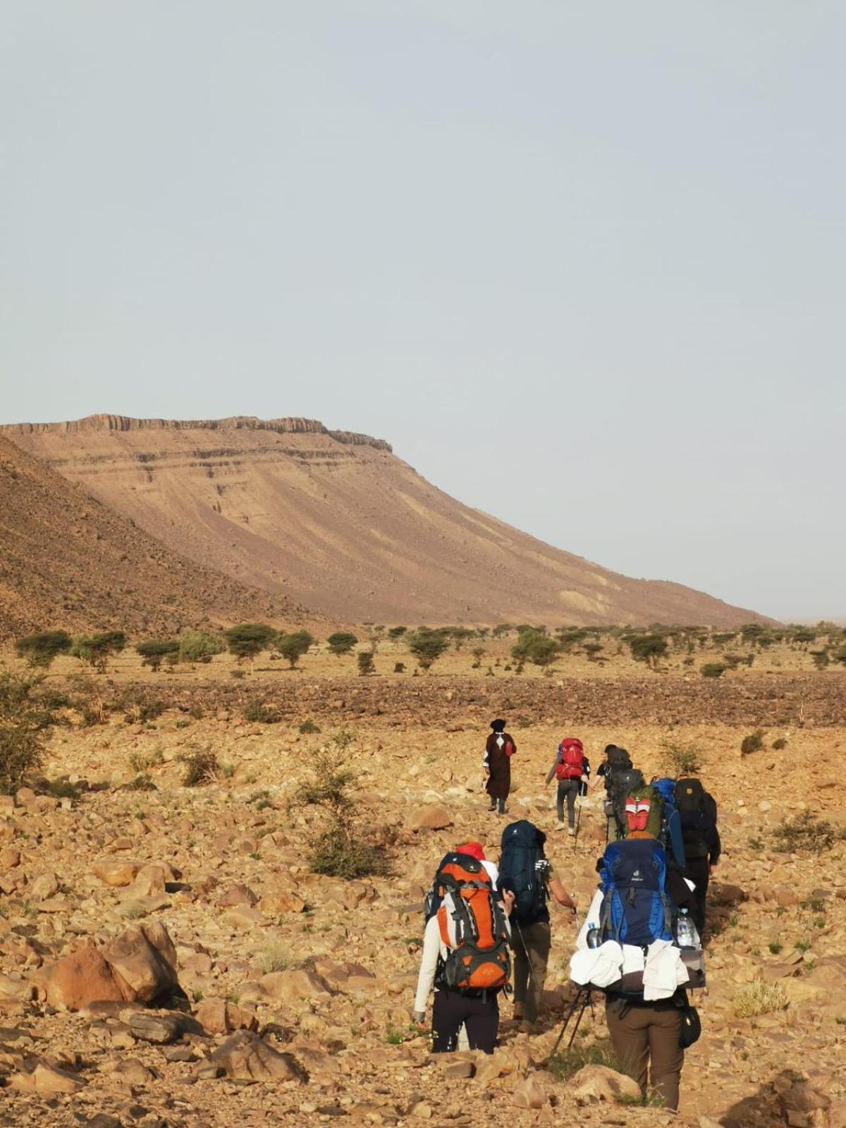Bivouac Les Nomades & Foum Zguid To Chegaga Tours Hotel Exterior foto