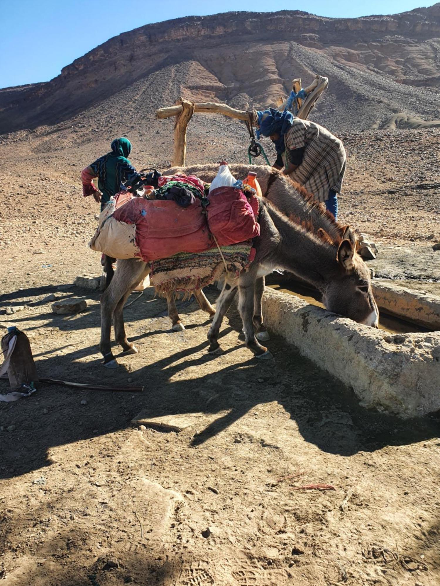 Bivouac Les Nomades & Foum Zguid To Chegaga Tours Hotel Exterior foto