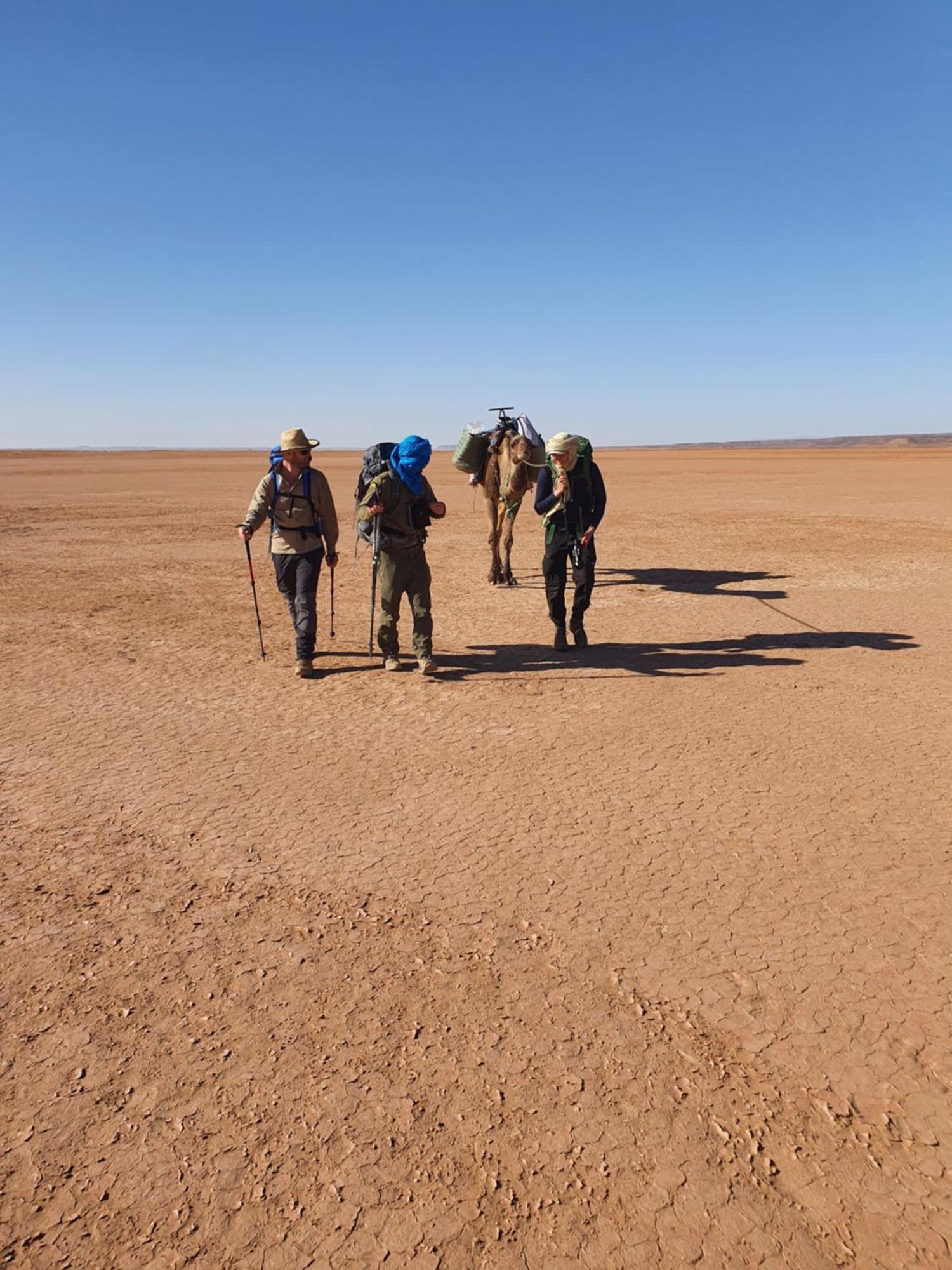 Bivouac Les Nomades & Foum Zguid To Chegaga Tours Hotel Exterior foto