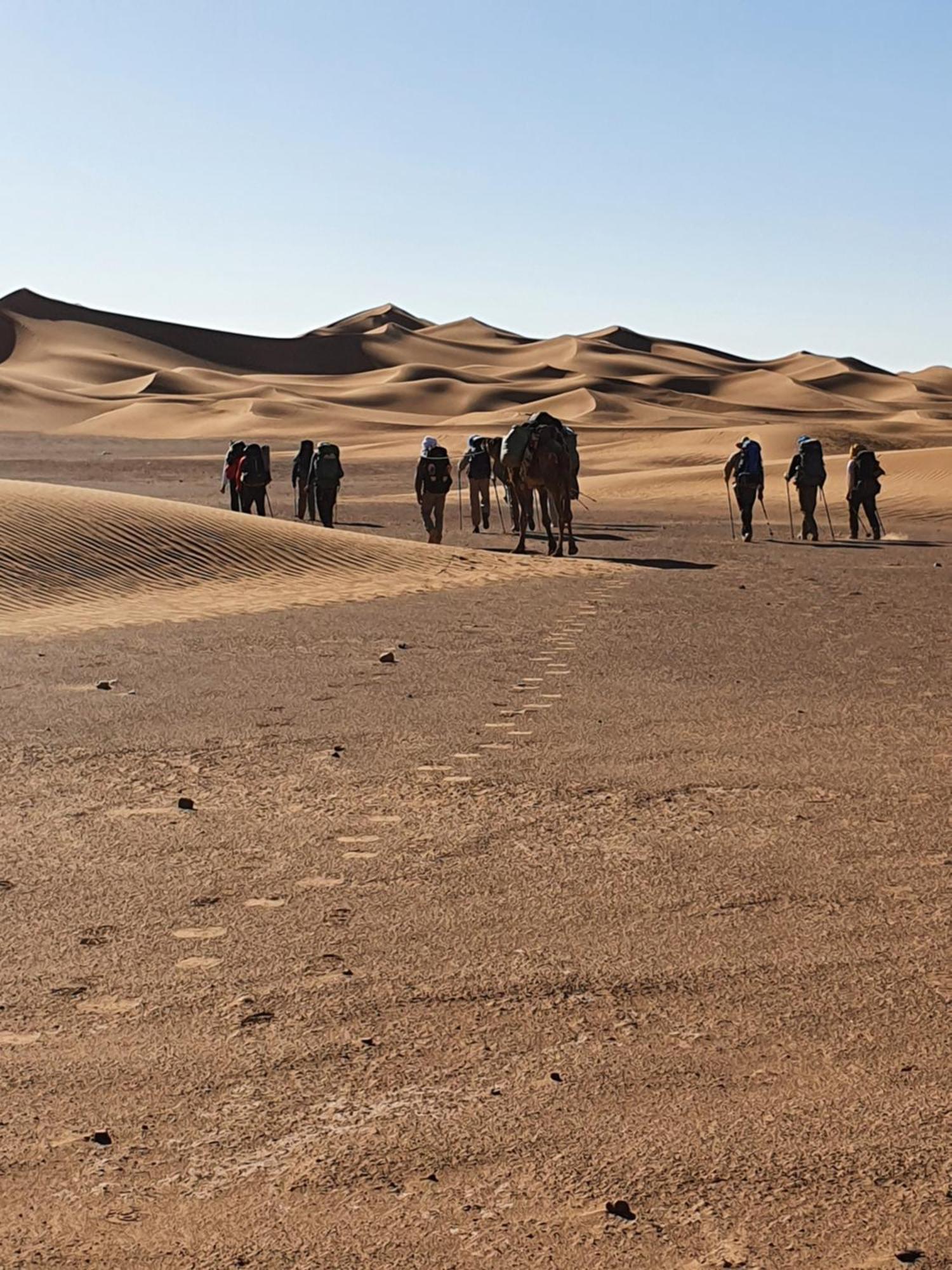Bivouac Les Nomades & Foum Zguid To Chegaga Tours Hotel Exterior foto